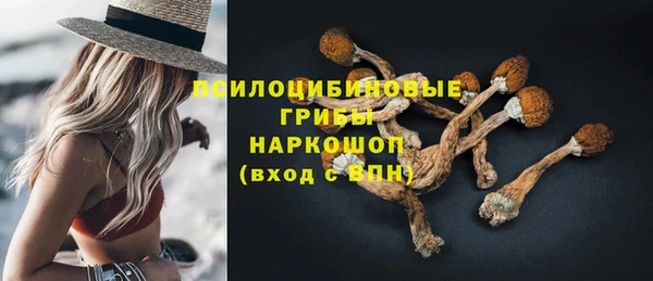 дурь Белокуриха