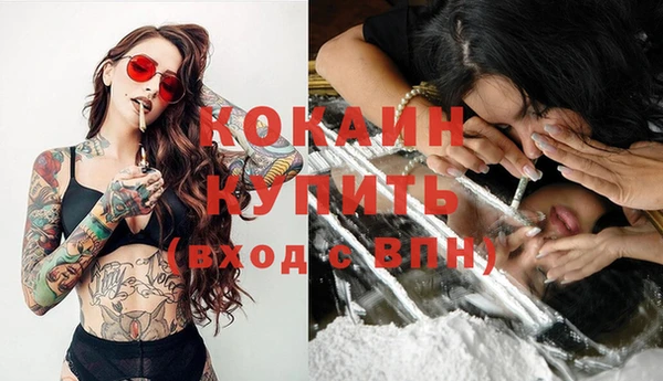 крисы Белоозёрский