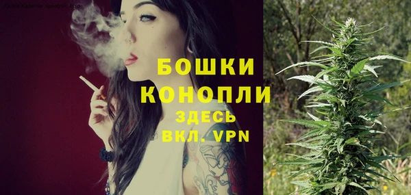 дурь Белокуриха