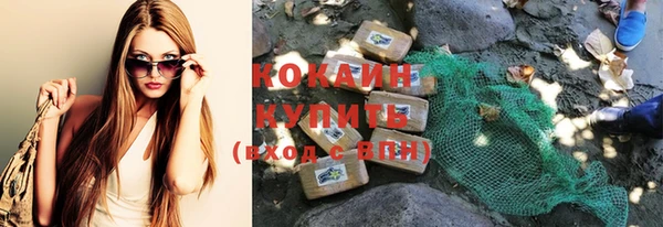 крисы Белоозёрский