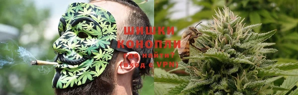дурь Белокуриха